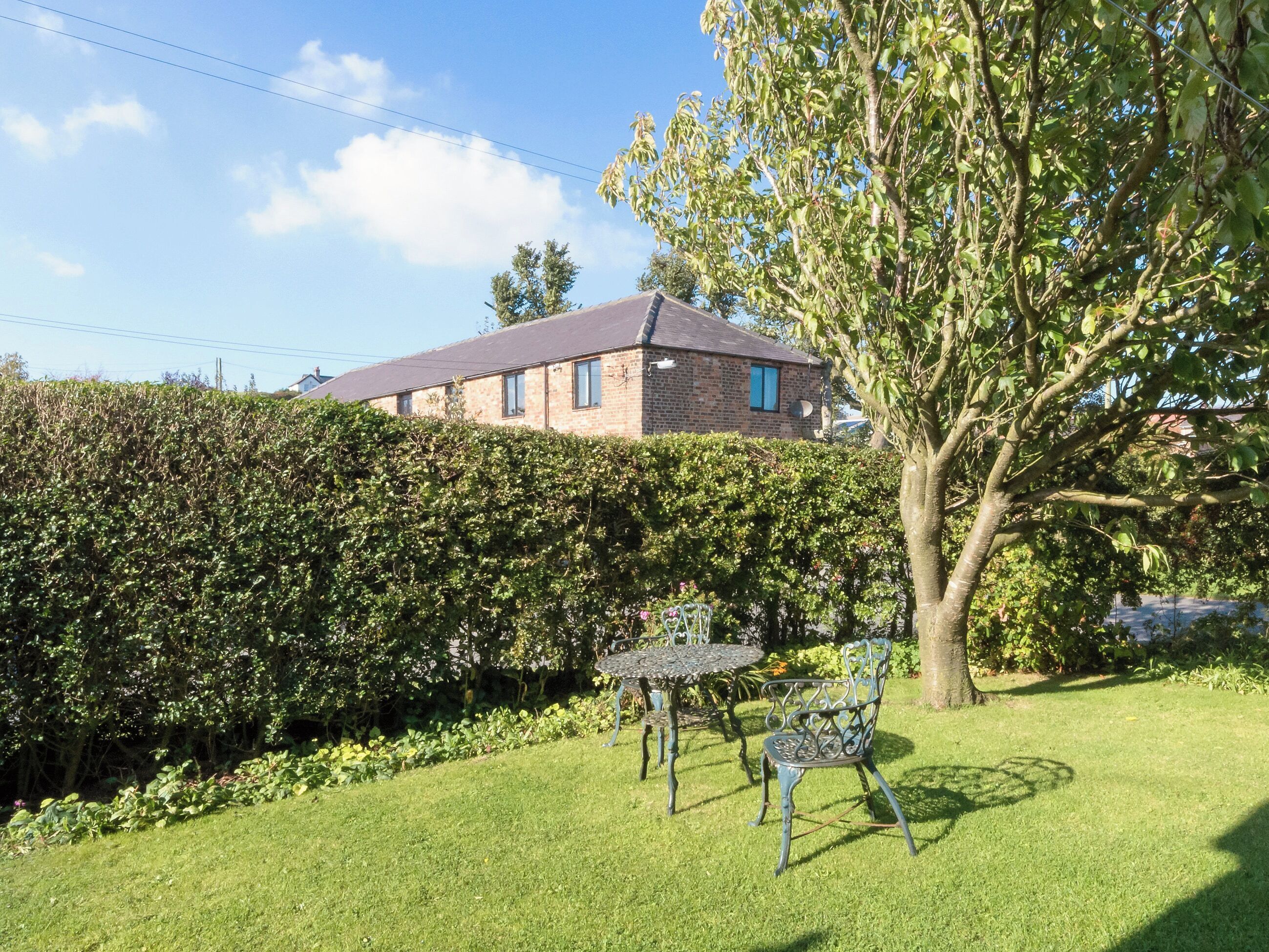 A grassy backyard with a hedge, a tree, and a building in the background.