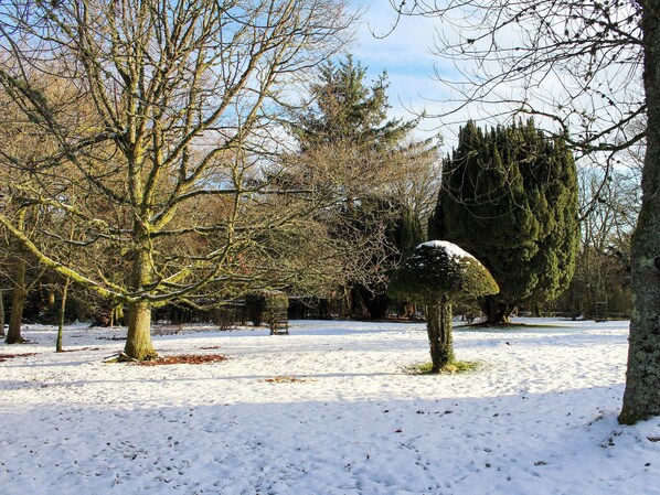 A snow-covered park with trees and a wooden bench.