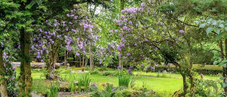 Un jardin luxuriant, avec des arbres en fleurs et une pelouse bien entretenue.