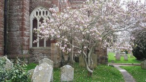 Un bâtiment historique, avec un grand arbre en fleurs, un mur de pierre et une zone herbeuse parsemée de pierres tombales.
