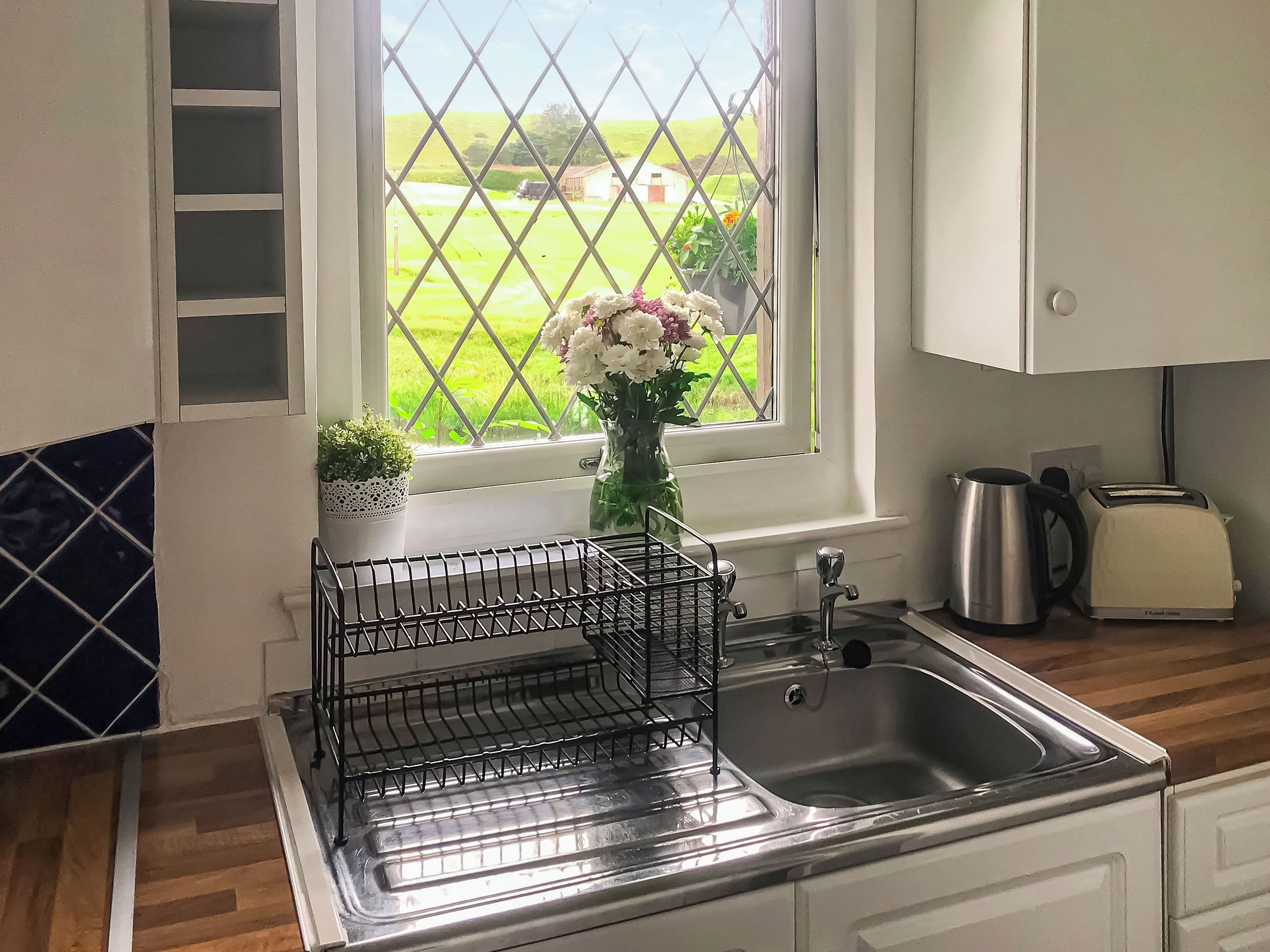 A kitchen with a stainless steel sink, a window with a view of a green field, a potted plant, and a toaster.