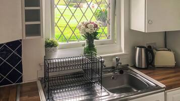 A kitchen with a stainless steel sink, a window with a view of a green field, a potted plant, and a toaster.