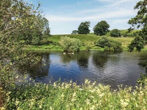 Image sans description, 4 de 5, bouton