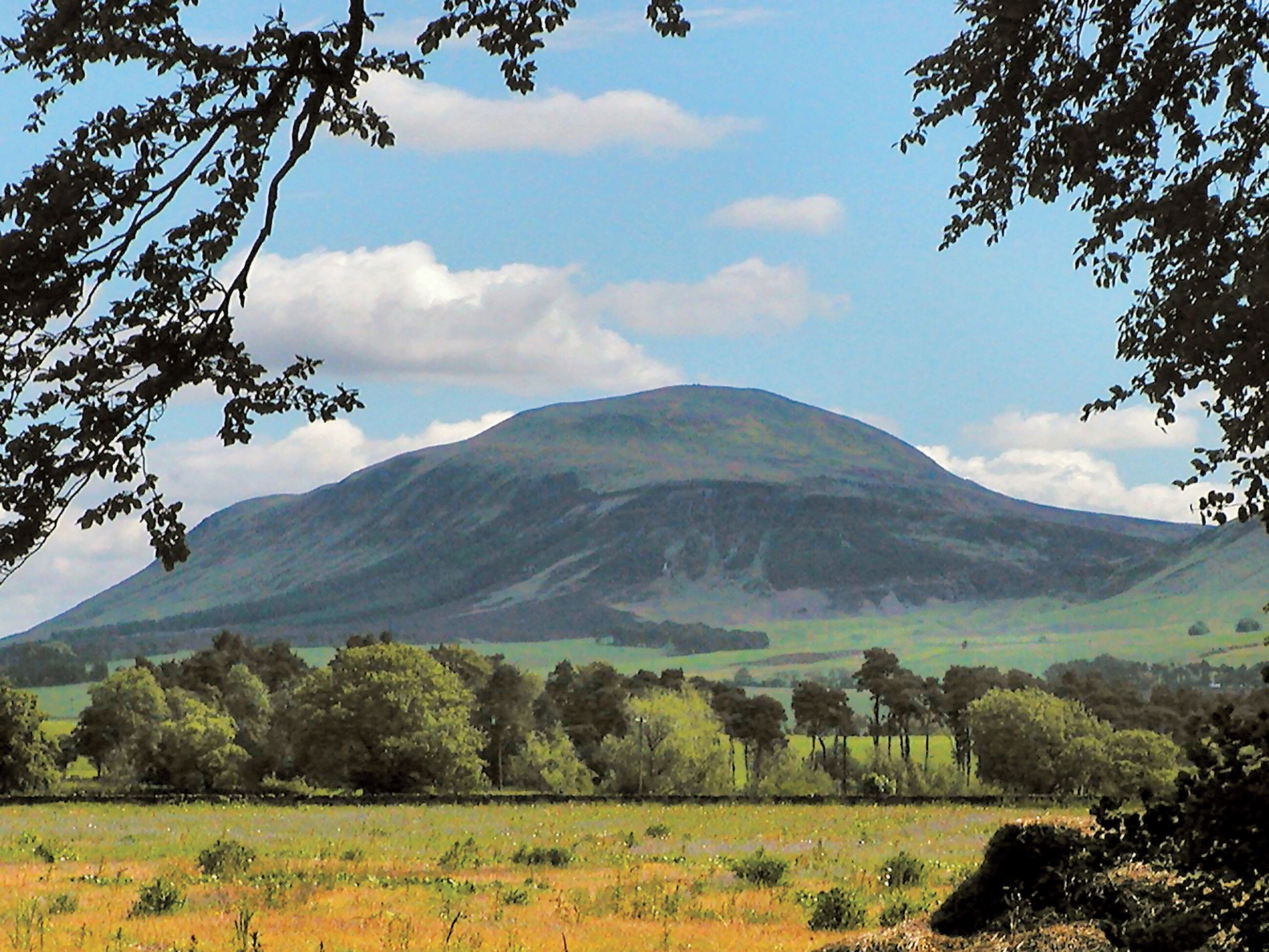 A mountain landscape with a clear sky, trees, and a field in the foreground.