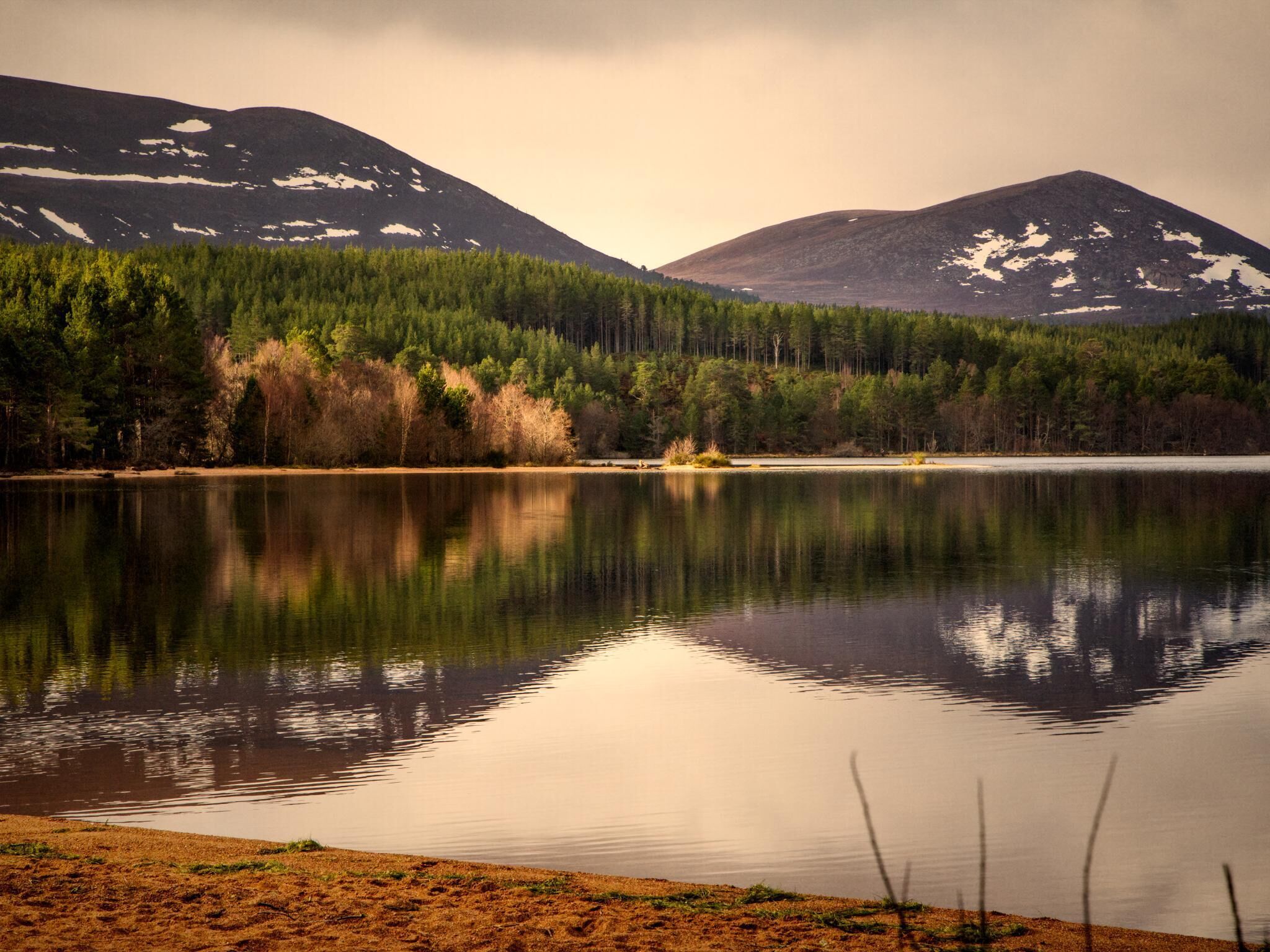 A calm lake with reflections of trees and mountains, surrounded by a forest and a clear sky.
