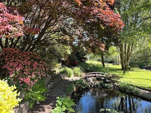 Un jardin avec un étang, un pont en bois et divers arbres.