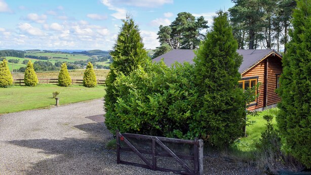 A log cabin with a gravel driveway and a metal gate, surrounded by dense green trees and a clear sky. - Fingask Log Cabin - S4394 (Glenfarg)