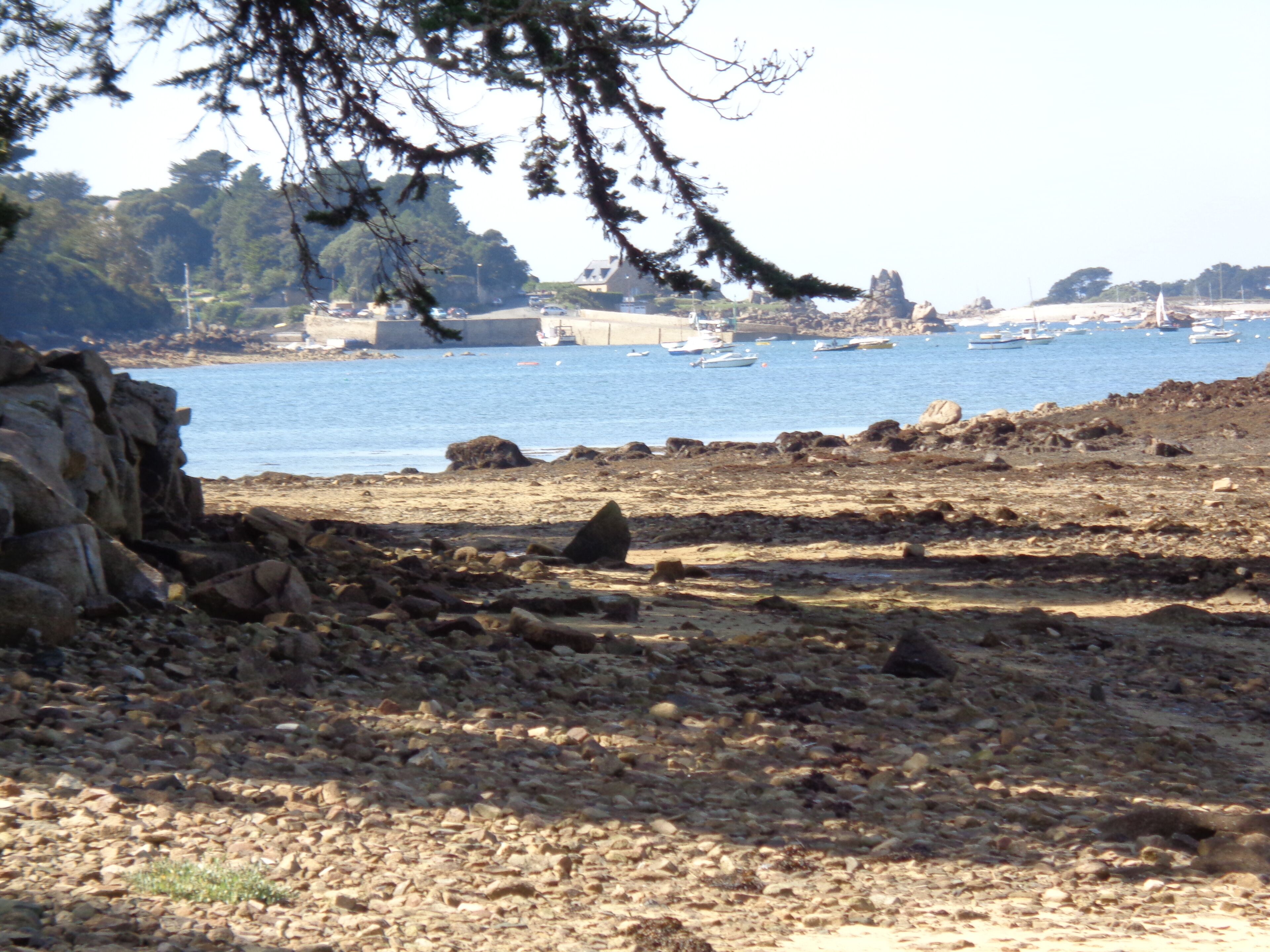 Uma praia rochosa com barcos ao fundo.