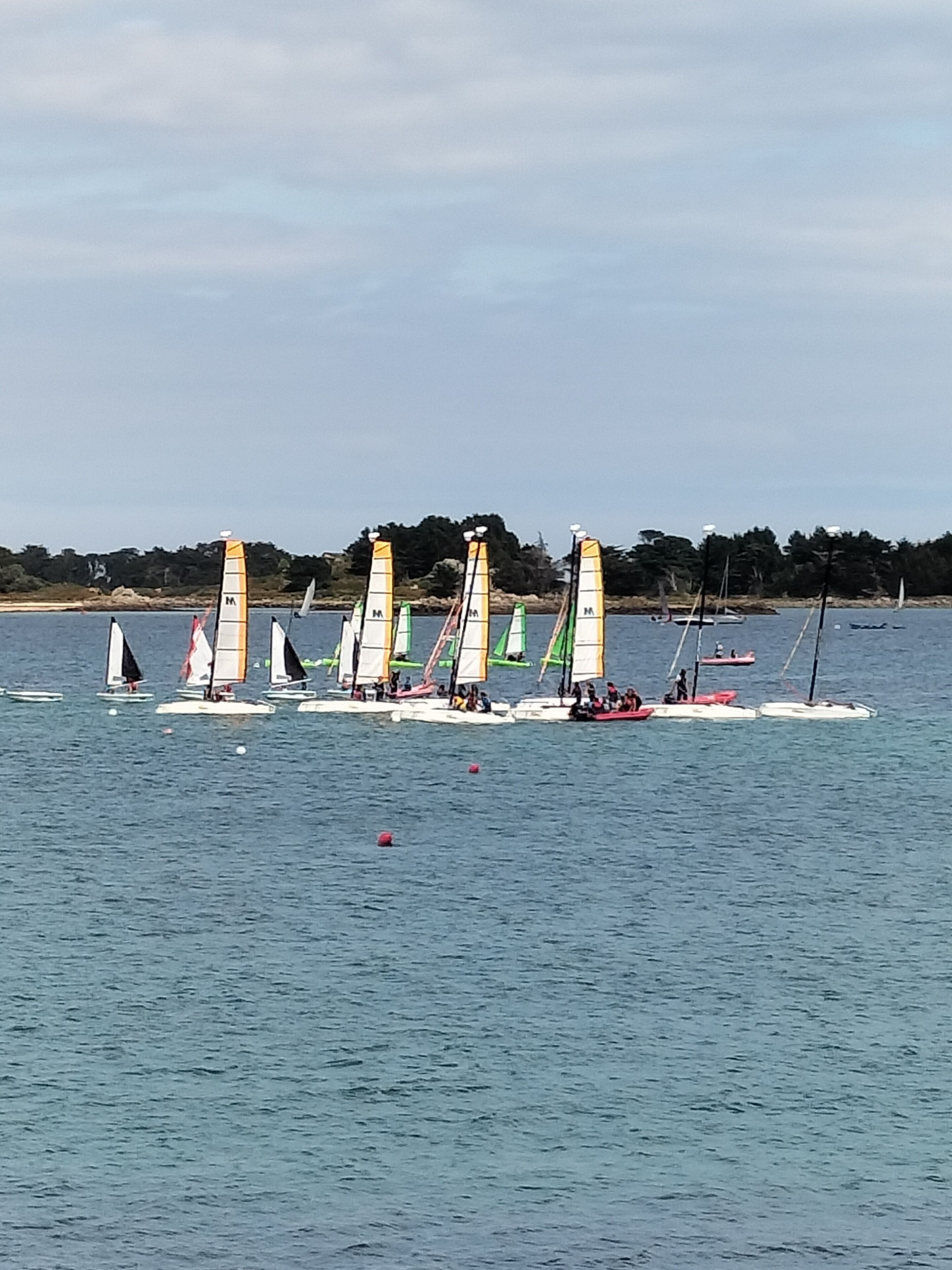 A marina with several sailboats docked.