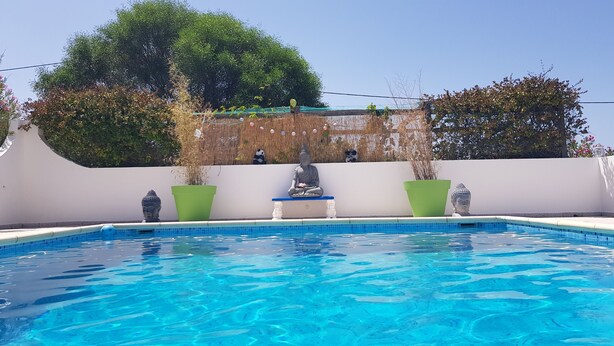 Ein Schwimmbecken mit Buddha-Statuen und Topfpflanzen.