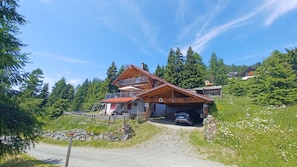 Exterior - Familiy friendly holiday apartement in a ski area (Sirnitz)