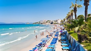 Una playa con filas de tumbonas azules y palmeras.
