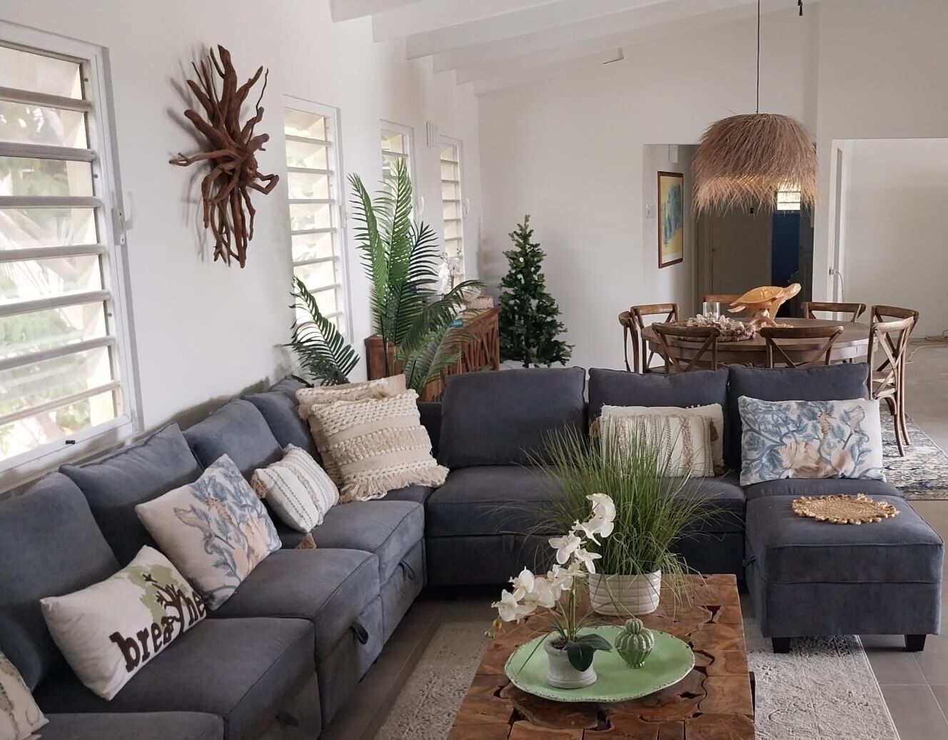 Smart TV, DVD player, books, stereo