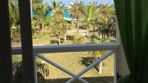 A view from a window with a white frame and green curtains, overlooking a grassy area with palm trees and a clear blue sky.