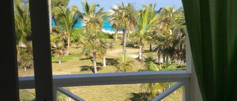 A view from a window with a white frame and green curtains, overlooking a grassy area with palm trees and a clear blue sky.