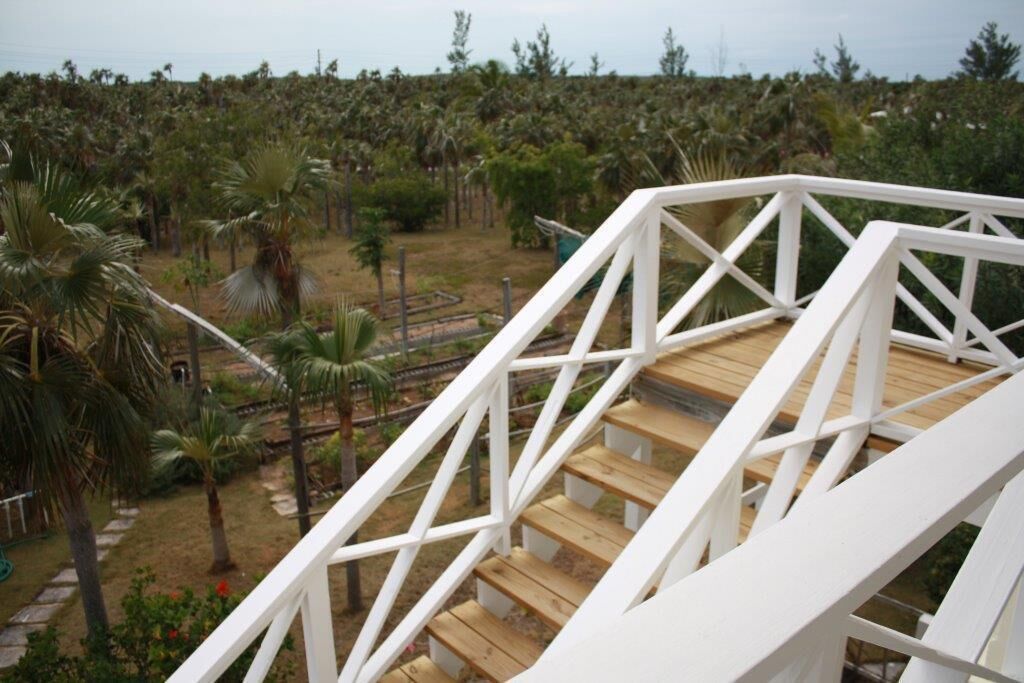 A wooden deck with white railings overlooking a landscaped garden with palm trees and shrubs.