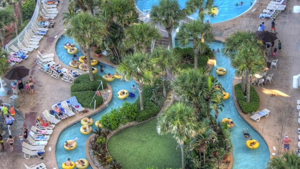 A large pool with multiple lanes, surrounded by palm trees and lounge chairs.