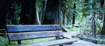 Comfortable 3 bedroom 1 bath Cabin, walk to the lake at the Public boat launch.