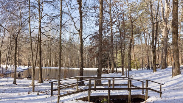 Un puente de madera sobre un arroyo cubierto de nieve en un área boscosa.