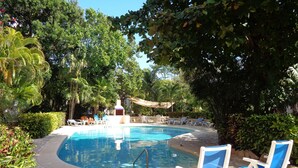 Uma piscina cercada por espreguiçadeiras e vegetação.