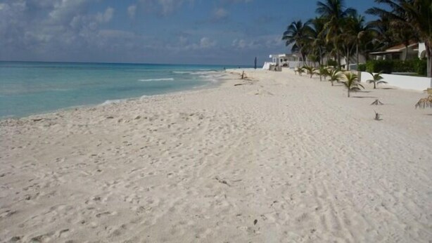 Uma praia com águas turquesa cristalinas, areia branca e palmeiras.