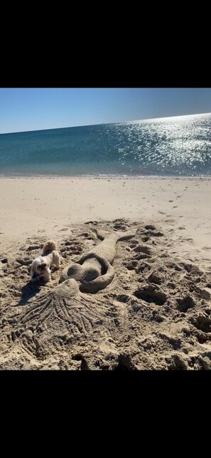 På stranden