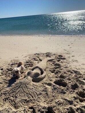 Ein sandiger Strand mit Fußabdrücken und einer Sandskulptur eines Meeresbewohners.