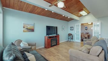 TV, fireplace, books