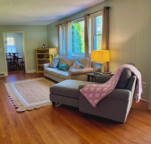 Smart TV, fireplace, books, video library