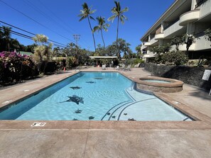 A swimming pool with a hot tub, surrounded by palm trees and a stone wall. - Fabulous Ocean Views : Whales : Dolphins : Big Island Fun! (Kailua-Kona)