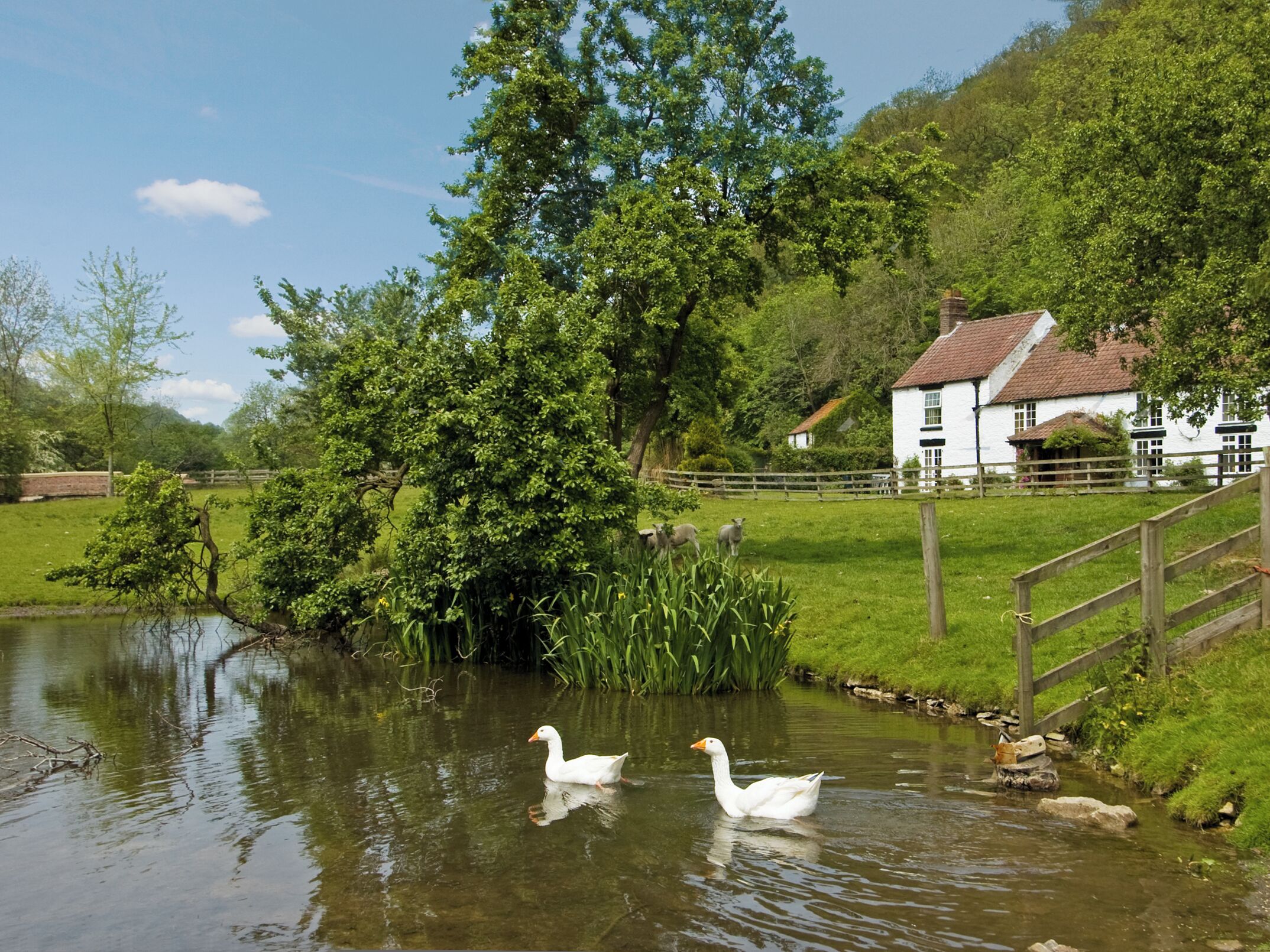 Terrein van de accommodatie