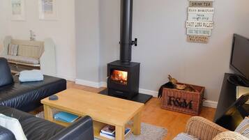 Una televisión, una chimenea