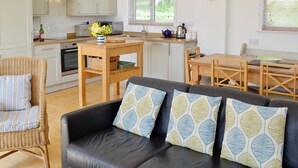 TV, fireplace - 2 bedroom accommodation in Horton, near Ilminster (Horton, near Ilminster)