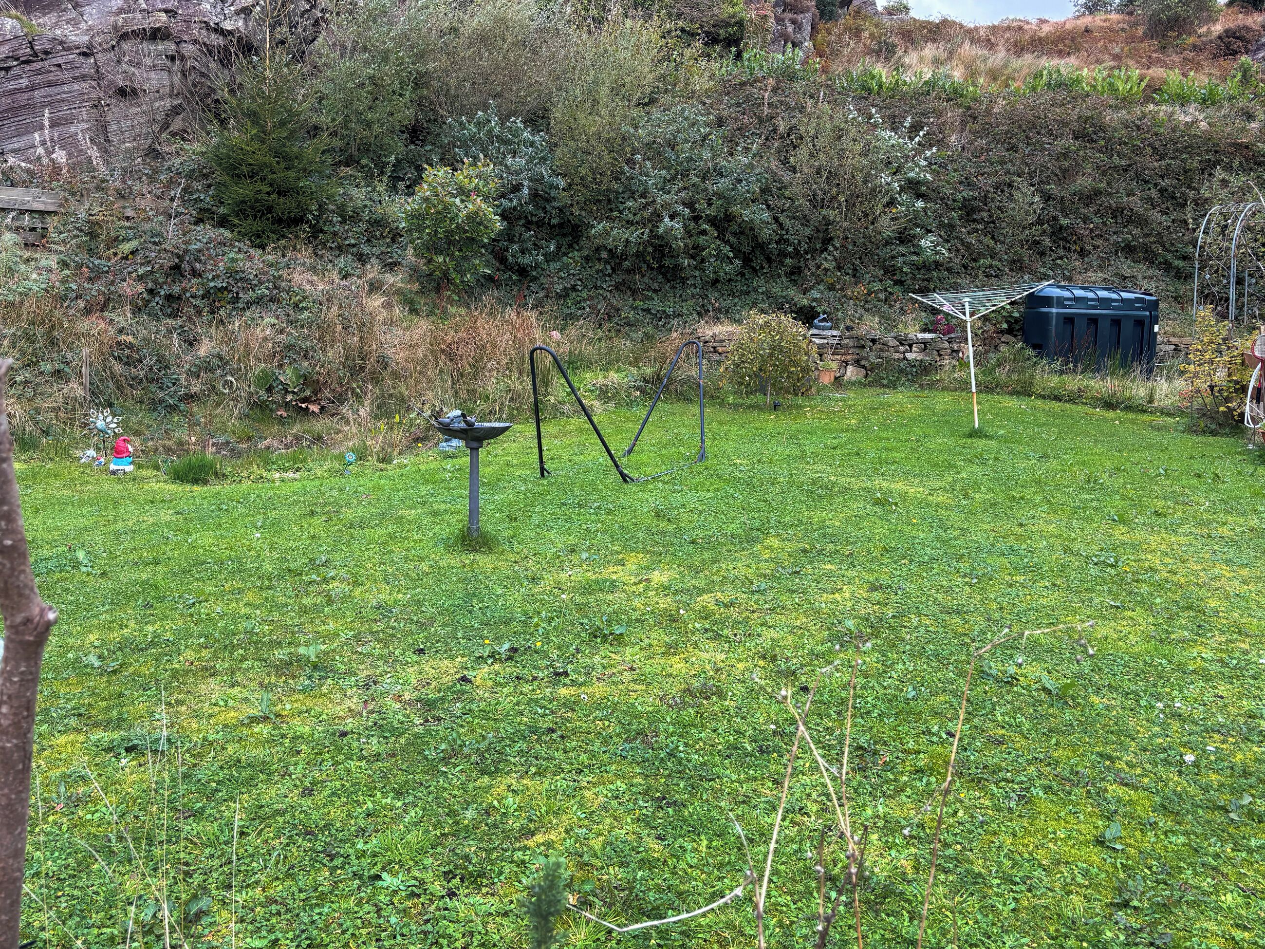 A grassy area with a birdbath, a stone wall, and a blue container.