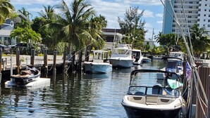 A marina with boats docked, a clear sky, and palm trees.