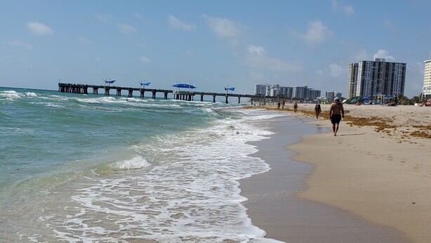 A beach with a pier extending into the ocean, sandy shore, and high-rise buildings in the background.