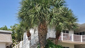 A two-story building with a white exterior, a central staircase, and a palm tree in the foreground.