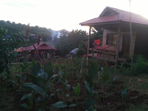 Family house home stay