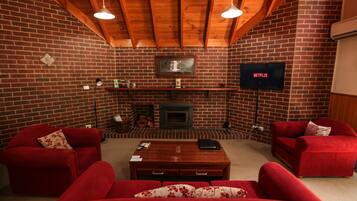 TV, fireplace, Netflix, DVD player