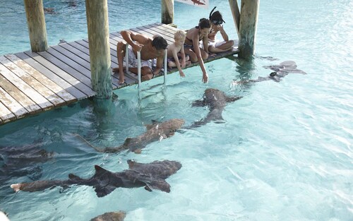 A Cozy well equiped apartment