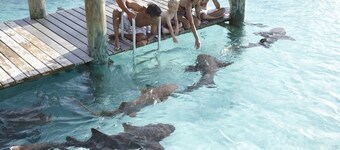 A Cozy well equiped apartment