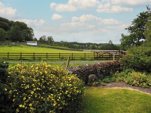 Área da propriedade