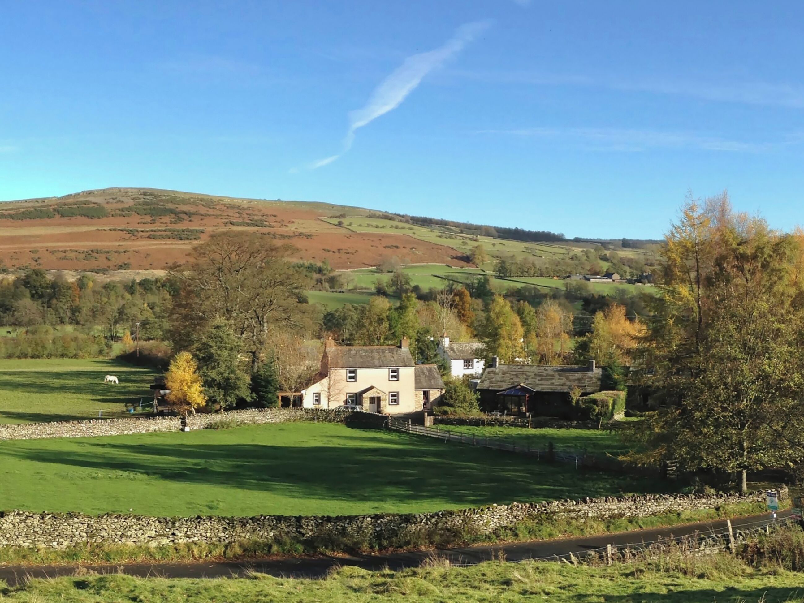 A rural landscape with a house surrounded by green fields and a hill in the background.