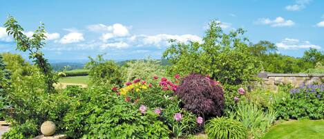 Àrea exterior de l'allotjament