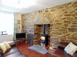 Fireplace - 2 bedroom accommodation in Killin (Killin)