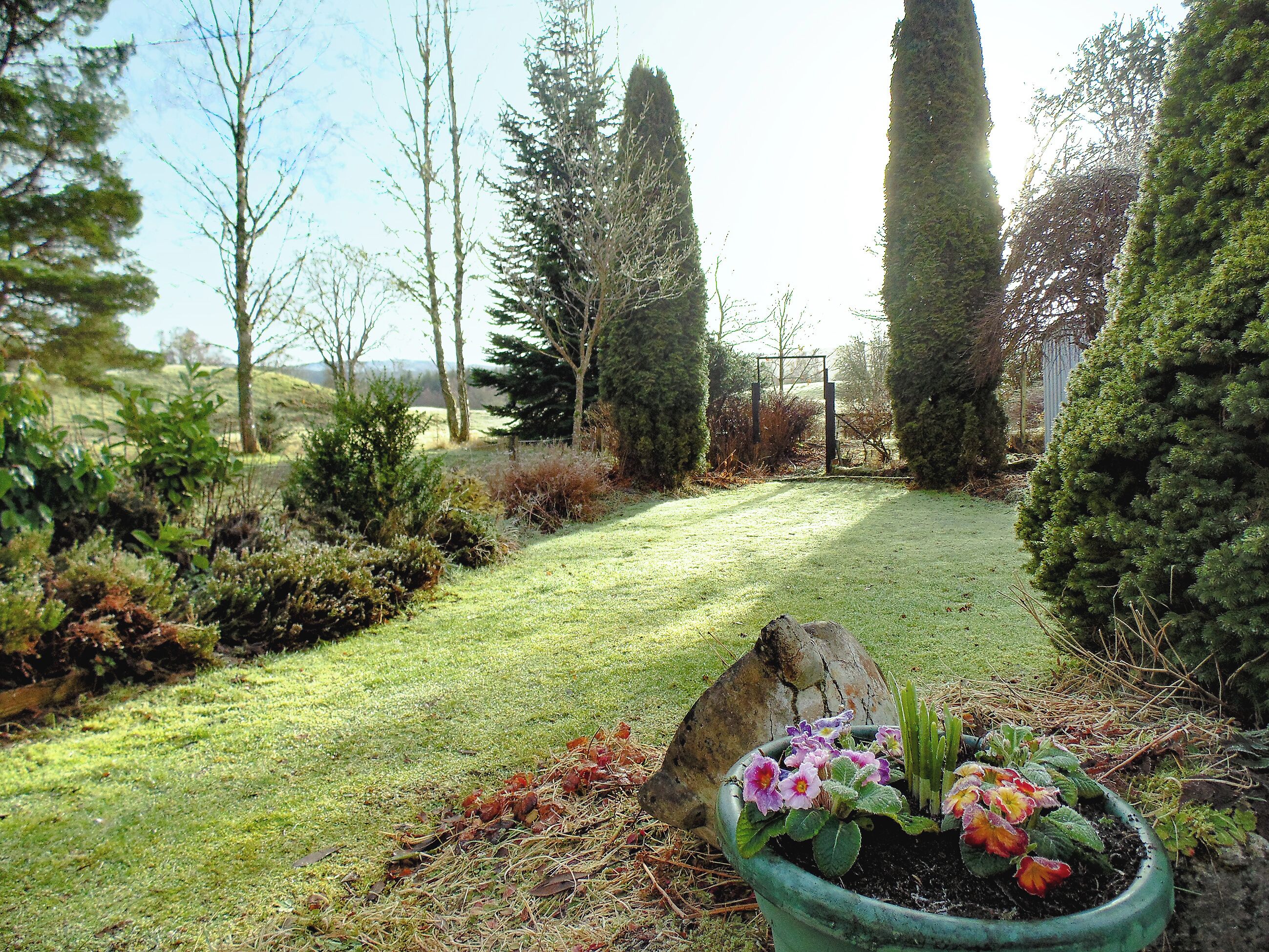 A garden with a grassy lawn, a variety of shrubs, and a large rock.