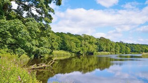 Ein ruhiger Fluss, umgeben von üppigem Grün und Bäumen.
