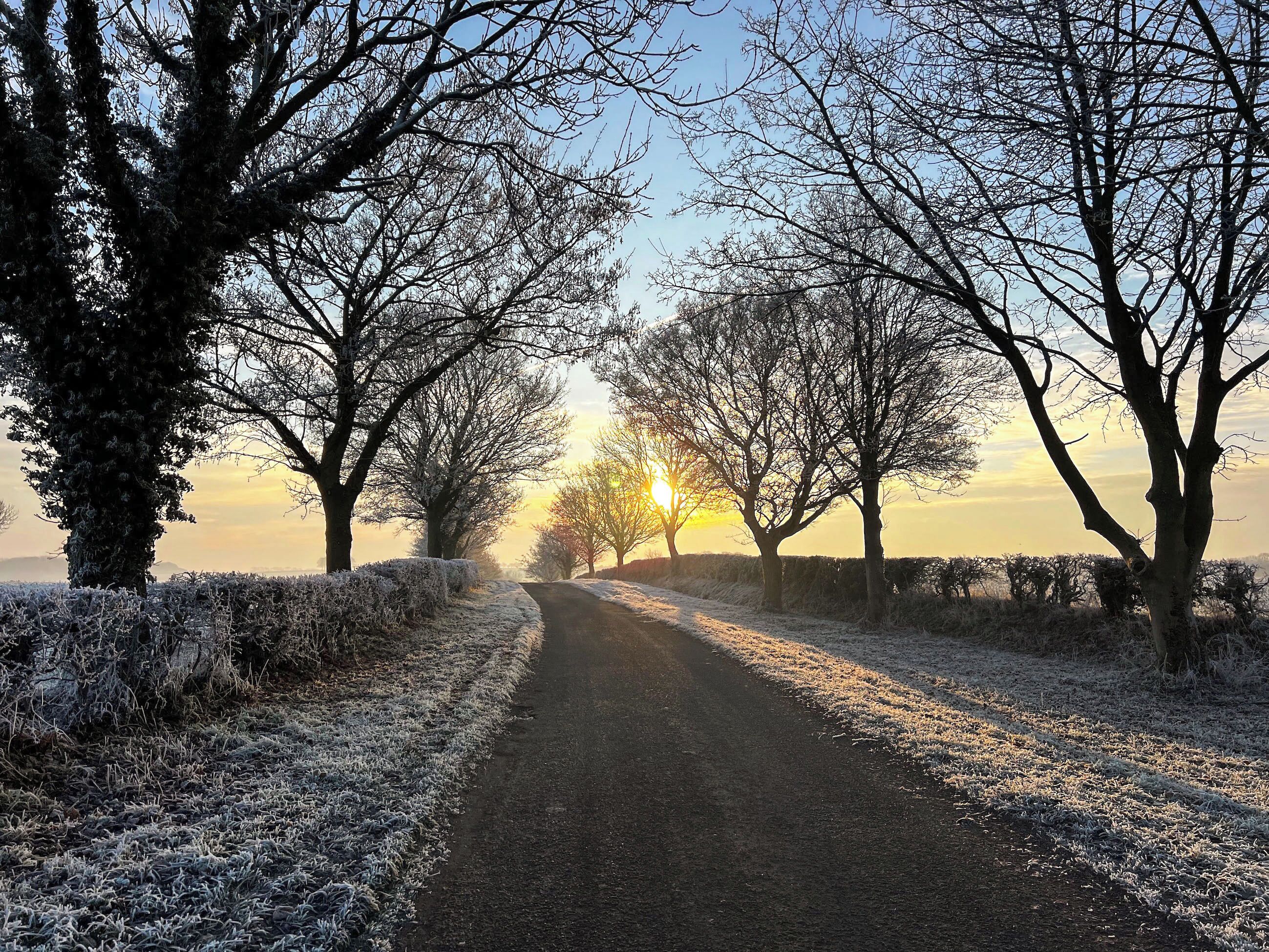 A rural road flanked by trees and frost-covered grass.