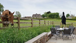 A wooden fence, a horse, and a table with chairs and an umbrella in a rural setting. - SHRUBBERIES COTTAGE - DC5472 (Old Liverton Village, near Staithes)