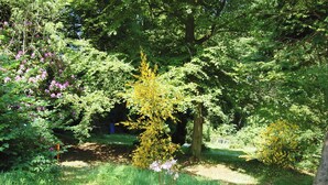 A lush garden with various trees and flowering plants.